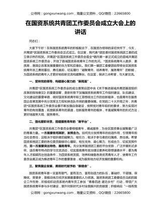 在国资系统共青团工作委员会成立大会上的讲话