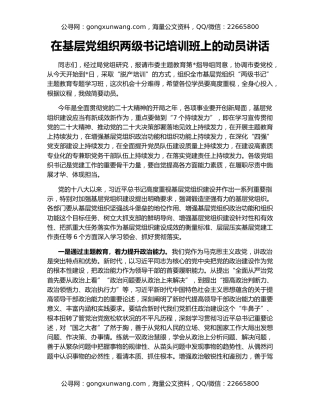 在基层党组织两级书记培训班上的动员讲话
