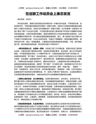 在巡察工作动员会上表态发言