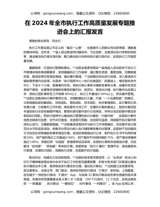 在2024年全市执行工作高质量发展专题推进会上的汇报发言