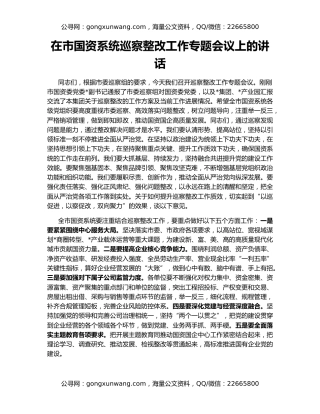 在市国资系统巡察整改工作专题会议上的讲话