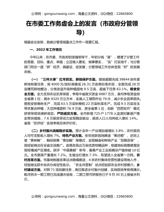 在市委工作务虚会上的发言（市政府分管领导）