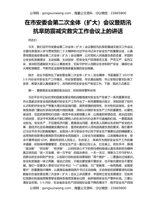 在市安委会第二次全体（扩大）会议暨防汛抗旱防震减灾救灾工作会议上的讲话