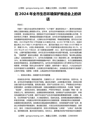 在2024年全市生态环境保护推进会上的讲话