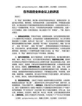 在市政府全体会议上的讲话