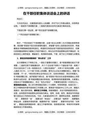 在干部任职集体谈话会上的讲话