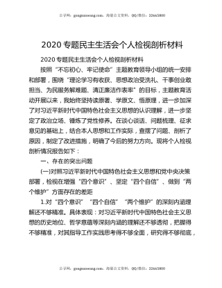 2020专题民主生活会个人检视剖析材料（2）