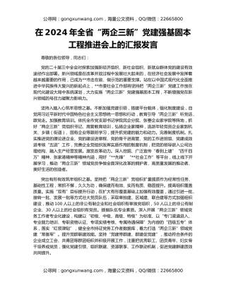 在2024年全省“两企三新”党建强基固本工程推进会上的汇报发言