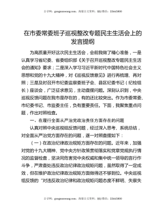 在市委常委班子巡视整改专题民主生活会上的发言提纲