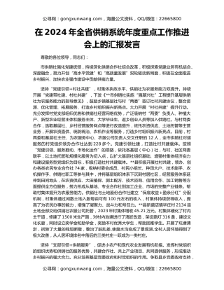 在2024年全省供销系统年度重点工作推进会上的汇报发言