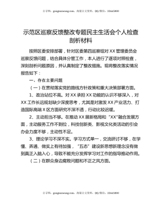 示范区巡察反馈整改专题民主生活会个人检查剖析材料