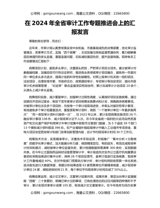 在2024年全省审计工作专题推进会上的汇报发言