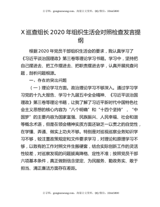 X巡查组长2020年组织生活会对照检查发言提纲