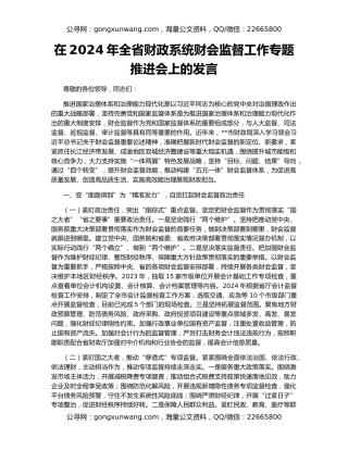 在2024年全省财政系统财会监督工作专题推进会上的发言