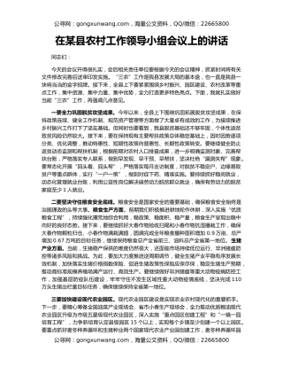 在某县农村工作领导小组会议上的讲话