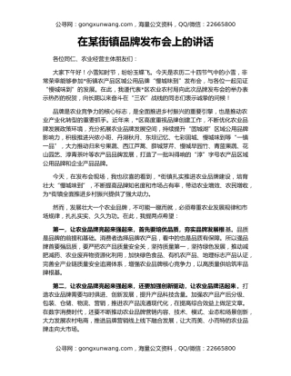 在某街镇品牌发布会上的讲话