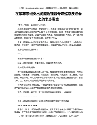在殡葬领域突出问题治理暨专项巡察反馈会上的表态发言