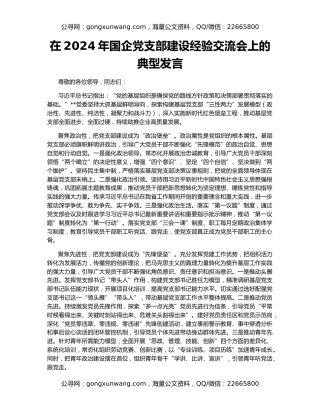 在2024年国企党支部建设经验交流会上的典型发言