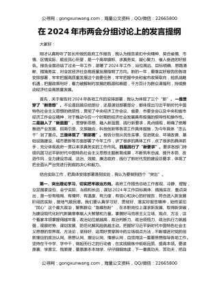 在2024年市两会分组讨论上的发言提纲