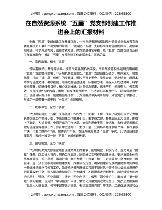 在自然资源系统“五星”党支部创建工作推进会上的汇报材料