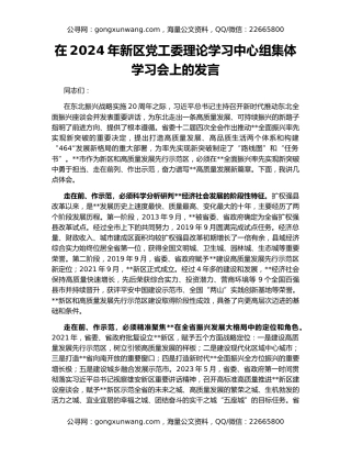 在2024年新区党工委理论学习中心组集体学习会上的发言