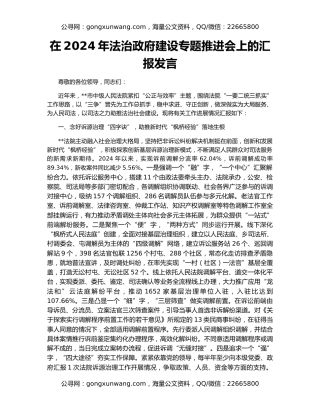 在2024年法治政府建设专题推进会上的汇报发言