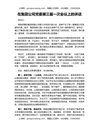 在集团公司党委第三届一次会议上的讲话