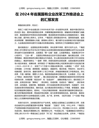 在2024年省属国有企业改革工作推进会上的汇报发言