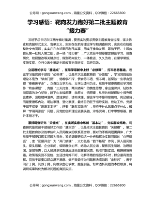 学习感悟：靶向发力跑好第二批主题教育“接力赛”
