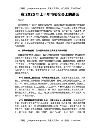 在2025年上半年市委全会上的讲话