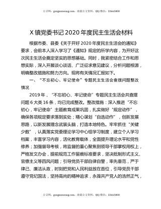 X镇党委书记2020年度民主生活会材料