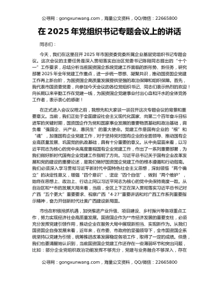 在2025年党组织书记专题会议上的讲话