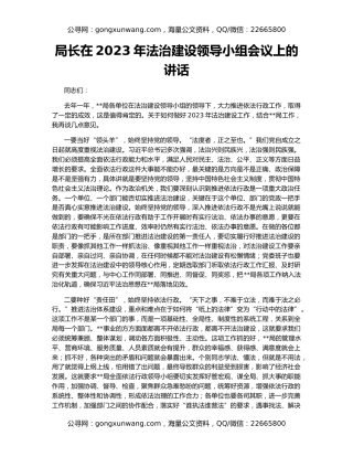 局长在2023年法治建设领导小组会议上的讲话