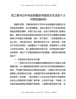 党工委书记中央巡视整改专题民主生活会个人对照检查材料