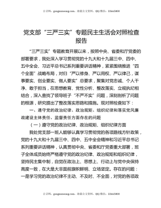 党支部“三严三实”专题民主生活会对照检查报告