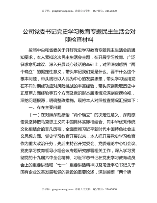 公司党委书记党史学习教育专题民主生活会对照检查材料