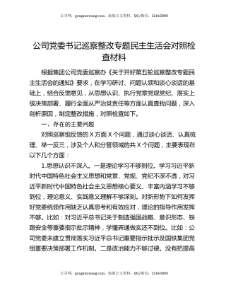 公司党委书记巡察整改专题民主生活会对照检查材料