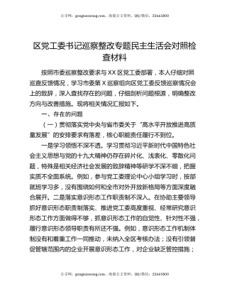 区党工委书记巡察整改专题民主生活会对照检查材料