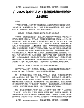 在2025年全区人才工作领导小组专题会议上的讲话