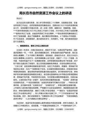 局长在市自然资源工作会议上的讲话