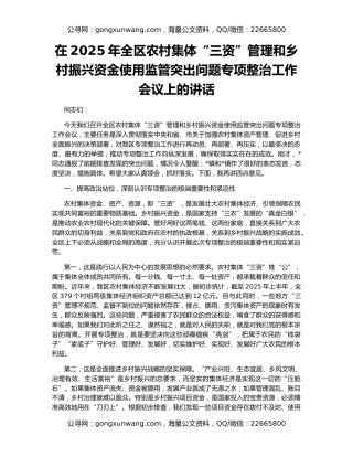 在2025年全区农村集体“三资”管理和乡村振兴资金使用监管突出问题专项整治工作会议上的讲话