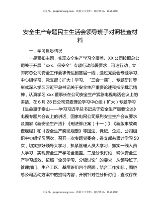 安全生产专题民主生活会领导班子对照检查材料