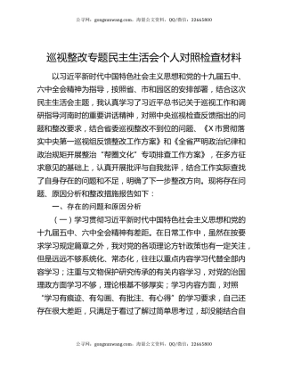 巡视整改专题民主生活会个人对照检查材料