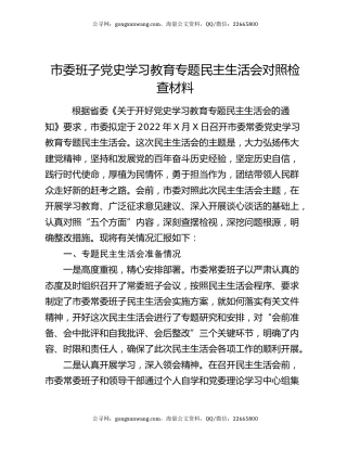 市委班子党史学习教育专题民主生活会对照检查材料