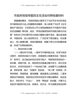 市政府党组专题民主生活会对照检查材料