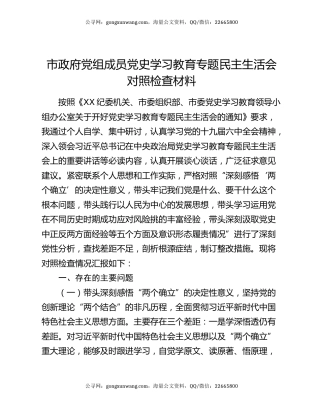 市政府党组成员党史学习教育专题民主生活会对照检查材料