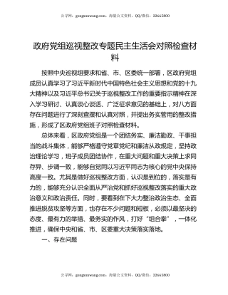 政府党组巡视整改专题民主生活会对照检查材料