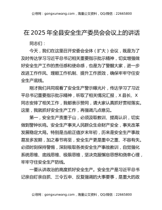 在2025年全县安全生产委员会会议上的讲话