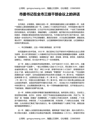 市委书记在全市三级干部会议上的讲话