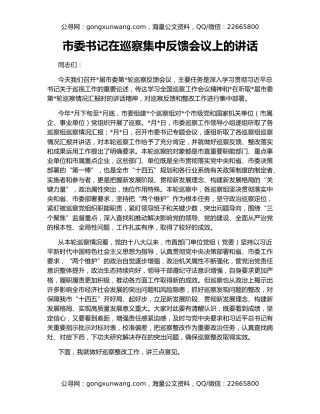 市委书记在巡察集中反馈会议上的讲话